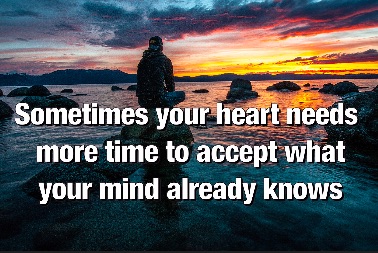 TOP 50 MOST HEART TOUCHING LIFE QUOTES - Financial Flavours