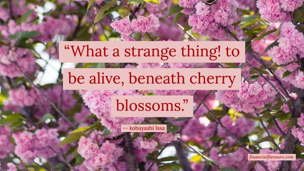 spring-quotes-what-a-strange-thing