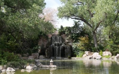 ABQ BioPark Botanic Garden – A MUST SEE in Albuquerque