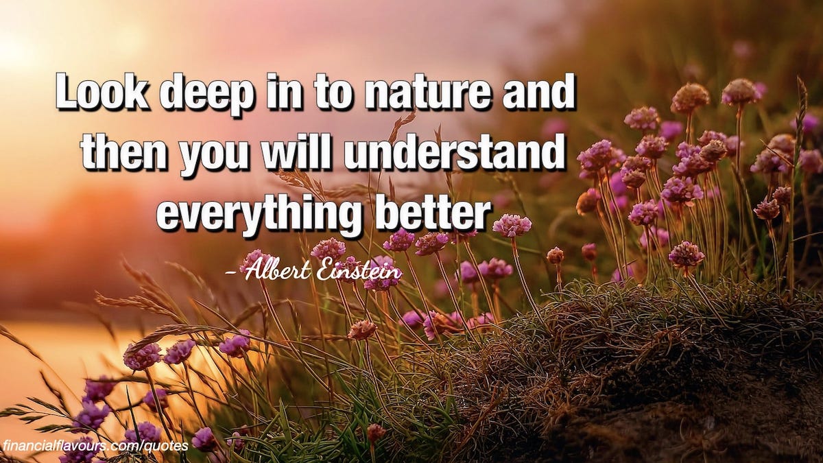25+ Most POWERFUL QUOTES by Albert Einstein - Financial Flavours