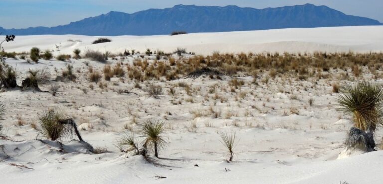 Aerial view of expansive white gypsum sand dunes at White Sands National Park, New Mexico